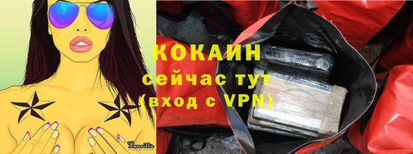прущий лед Алзамай