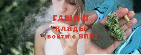 прущий лед Алзамай
