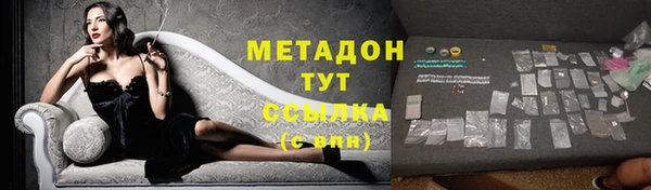 индика Протвино