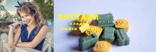 индика Протвино