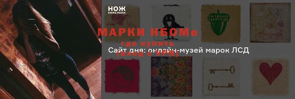 прущий лед Алзамай