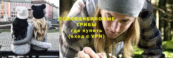 прущий лед Алзамай